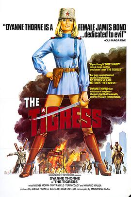 模板网站可以关键词优化